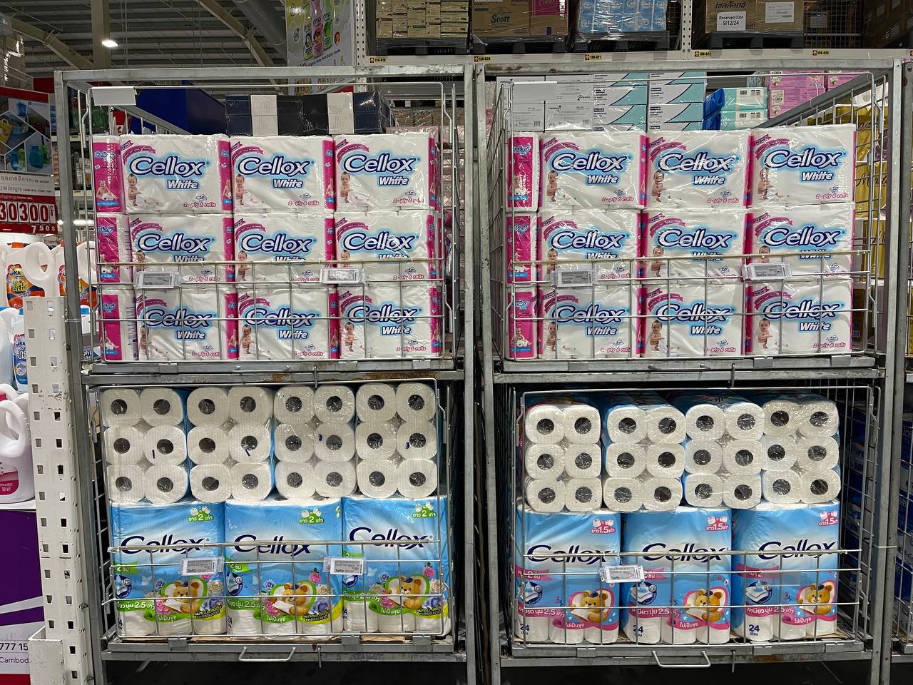 Modern Trade Distribution of Cellox and Hygienist Products by BJC at Makro Cambodia - Image 13